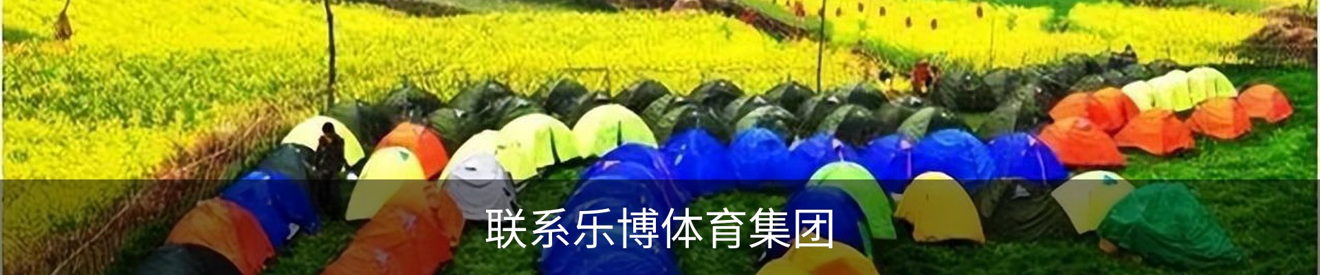 联系乐博体育集团
